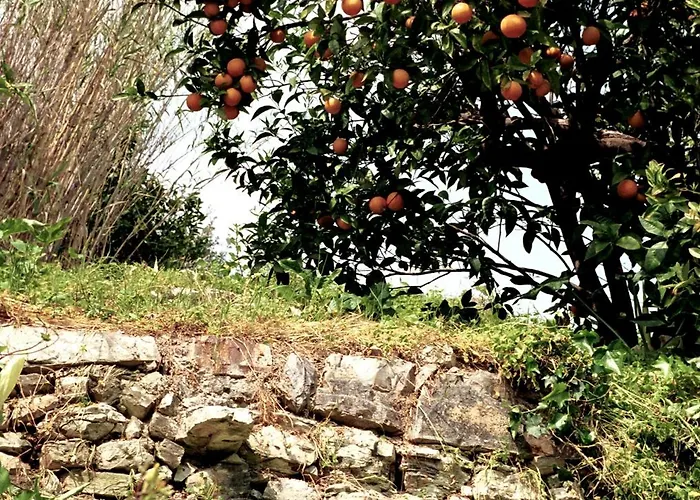 Antico Agrumeto A Mare *